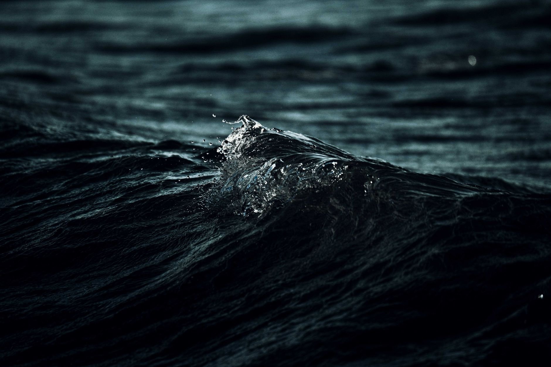 A close-up view of a dark ocean wave, captured at night with a dramatic splash.